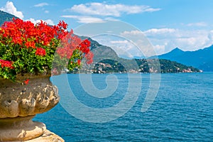 Tremezzo viewed behind flowers, Italy