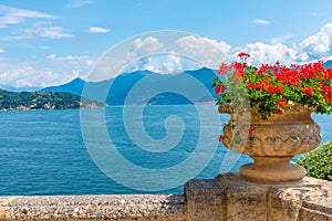 Tremezzo viewed behind flowers, Italy