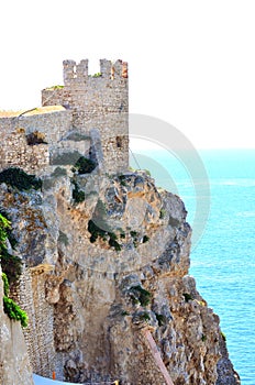 Tremiti islands, italy photo