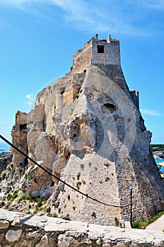 Tremiti islands, italy photo