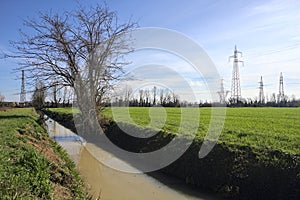 Trench with a bare tree between fields