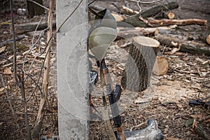 Trench life, automat, helmet and logs photo