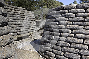 Trenches, Vimy Ridge Battlefield, France