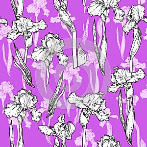 Trend violet flowers photo