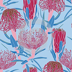 Trendy abstract line pink Protea, Leucospermum flowers and botanical garden seamless pattern, design for fashion, fabric.