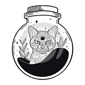 Trendy black and white vector illustration with cat, bottle, flowers.