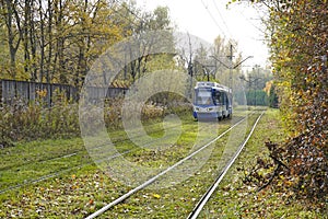 Trendy blue tram rides along the rails in the Park or green part of the city. Green foliage, modern city ecological transport tram