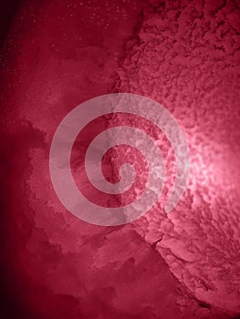 Trendy color 2023 viva magenta red toned of abstract background.