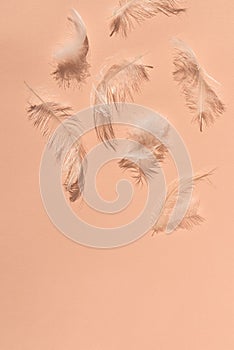 Trendy color of 2024 year concept, lifestyle, copy space. Messy white fuzz and feathers on peach texture background with natural