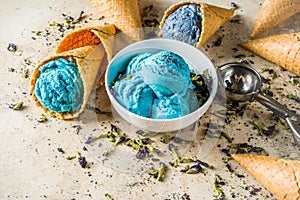 Butterfly Pea Flower ice cream