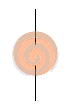 Trendy color of year 2024 - Peach Fuzz. Trendy color palette sample. Abstract circle with swatch colors palette