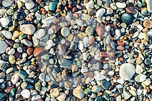 Trendy colorful small sea stone pebble background. Multicolored abstract beach nature pattern