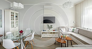 Trendy designed dining and living rooms in white lagom Scandinavian style. Elegant contemporary loft apartment concept
