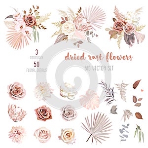 Trendy dried palm leaves, blush pink and rust rose, pale protea