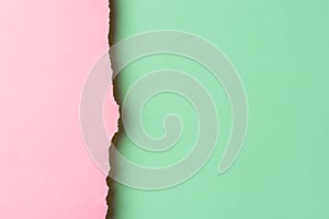 Trendy duotone pink chartreuse green paper background with textured torn frazzle edge. Side border. Poster banner invitation