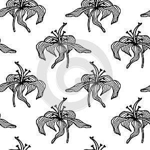 Trendy floral seamless pattern. Hand-drawn contour black lines of fantastic flowers on a white background. Vector sketch