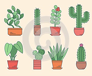 Trendy home plants vector element set.