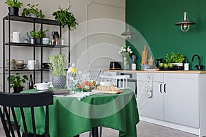 Trendy kitchen with dining table with green tablecloth set for romantic dinner