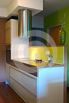 Trendy kitchen interiror