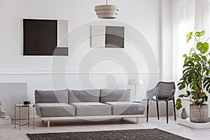 Trendy living room interior with white wall, painting and grey settee