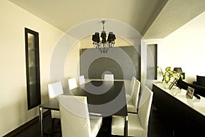 Trendy Modern Dining Room