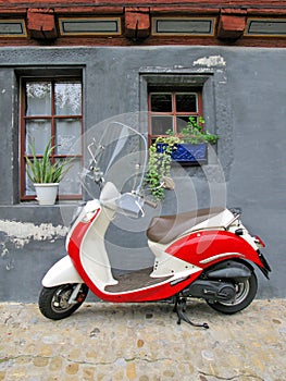 Trendy moped