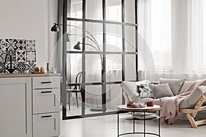 Open space kitchen and living room interior with coffee table and sofa