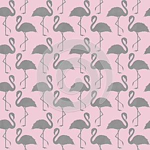 Trendy pink and gray flamingo seamless pattern