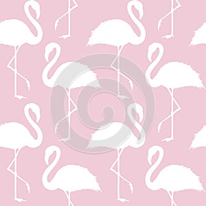 Trendy pink and white flamingo seamless pattern