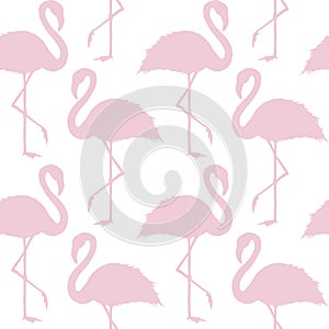 Trendy pink and white flamingo seamless pattern