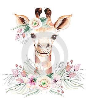 A trendy poster with a giraffe. Watercolor cartoon giraffe savanna animal illustration. Jungle savannah tropical exotic