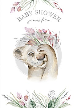 A trendy poster with a lion. Watercolor cartoon lion savanna animal illustration. Jungle savannah tropical exotic summer