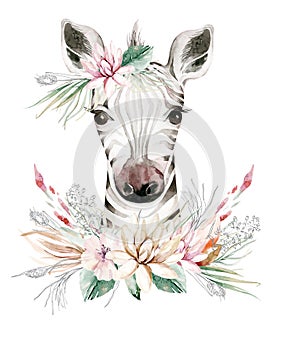 A trendy poster with a zebra. Watercolor cartoon zebra savanna animal illustration. Jungle savannah tropical exotic