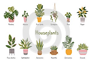 Trendy potted plants set with titles, cartoon style. Indoor houseplants for interior. Urban Cozy home gardening hobby