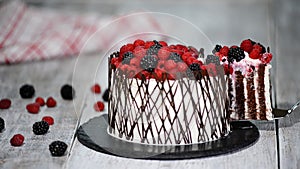 Trendy rustic vertical roll high cake with chocolate, vanilla cream and raspberries.