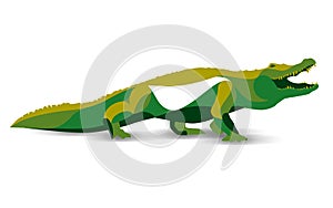 Trendy stylized illustration, crocodile, alligator, line vector silhouette of ,