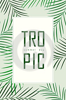 Trendy Summer Tropical Leaves Vector Design