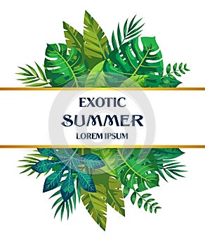 Trendy Summer Tropical Leaves Vector Design.