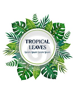 Trendy Summer Tropical Leaves Vector Design. Bright exotic card.