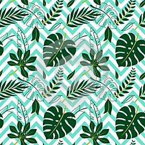 Trendy Summer Tropical Leaves Vector Design. Floral seamless pattern. Doodle vector background with leaves.