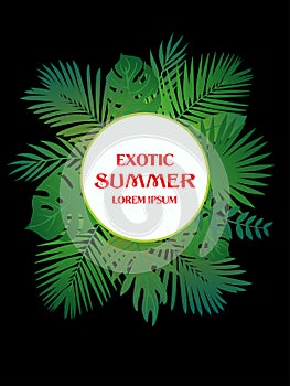 Trendy Summer Tropical Leaves Vector Design. May be used for invitations, banners
