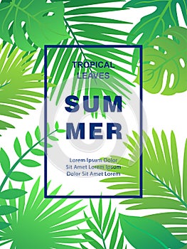 Trendy Summer Tropical Leaves Vector Design. May be used for invitations, banners