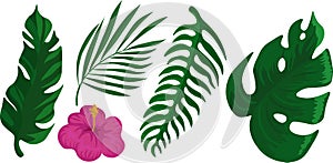 Trendy tropical set of leaves and flowers isolated on background.