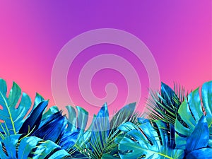 Trendy turquoise colored close up of various tropical leaves on bright pink and violet background photo