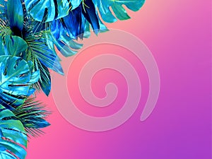 Trendy turquoise colored close up of various tropical leaves on bright pink and violet background