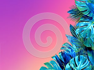 Trendy turquoise colored close up of various tropical leaves on bright pink and violet background