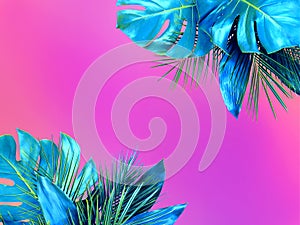 Trendy turquoise colored close up of various tropical leaves on bright pink and violet background