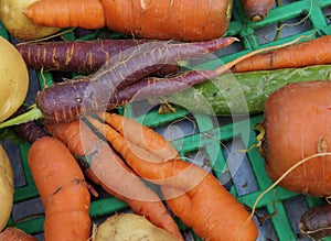 Trendy ugly misshapen root vegetable photo