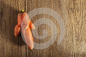 Trendy ugly organic carrot from home garden on barn wood table. color image