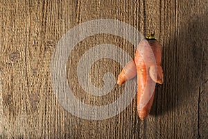 Trendy ugly organic carrot from home garden on barn wood table. color image